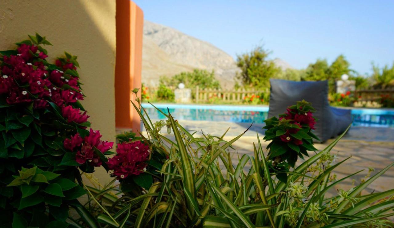 Villa Despina 1 Plakias Private Villa, Private Swimming Pool Garden,Amazing View Lefkogeia エクステリア 写真